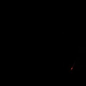 Meet your Posher, Jade